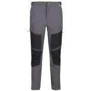Spodnie męskie Regatta Questra IV szary DkGrey/Black