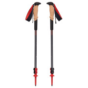 Kije trekkingowe Black Diamond Pursuit Shock Trekking Poles