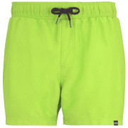 Męski strój kąpielowy Regatta Mawson Swim Shorts III