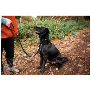 Smycz z amortyzatorem Mountain Paws Stretch Dog Lead