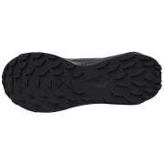 Buty damskie Salomon Alphaglide Gore-Tex