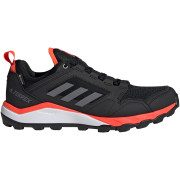 Buty męskie Adidas Terrex Agravic Tr GTX