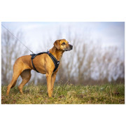 Smycz dla psa Curli Ultra Strong Pocket Leash