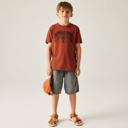 T-shirt dziecięcy Dare 2b Trailbazer III Tee Arabian Spice