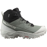 Buty damskie Salomon Crosstrak Waterproof zielony Agave Green / Black / Canary Green