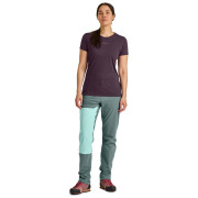 Spodnie damskie Ortovox Brenta Pants W