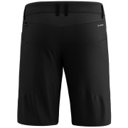 Spodenki męskie Salewa Agner Dst M Shorts.