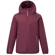 Dziecięca kurtka zimowa Regatta Illuma Reflective Jacket Fig bordowy Fig