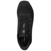 Buty damskie Salomon Alphaglide Gore-Tex