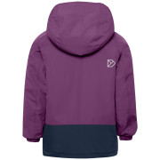 Dziecięca kurtka zimowa Didriksons Talvi Kids Jkt 2 Northen Purple