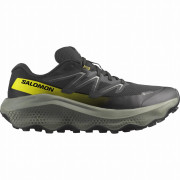 Buty męskie Salomon Ultra Flow 2 Gore-Tex