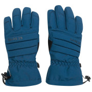 Rękawice narciarskie Dare 2b Charisma III Glove niebieski MoonLt Denim