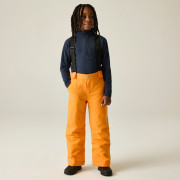 Dziecięce spodnie narciarskie Dare 2b Outmove III Insulated Pant ElectricOrng