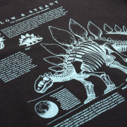 T-shirt dziecięcy Alpine Pro Ecco 2 Black