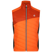 Kamizelka męska Dare 2b Touring Gilet pomarańczowy Puffins Orange/Rooibos Tea