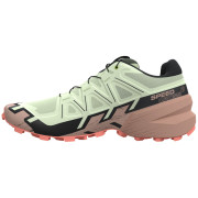 Buty damskie Salomon Speedcross 6 Gore-Tex