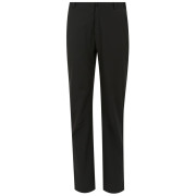 Spodnie męskie Regatta Bayfell Trousers czarny black