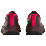 Damskie buty do biegania The North Face W Offtrail TR Gore-Tex