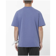 Koszulka męska Salomon Wild Rays Label SS Tee