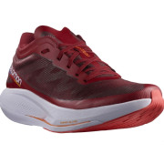 Buty do biegania dla mężczyzn Salomon Phantasm