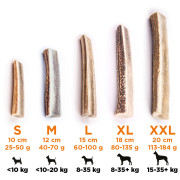 Zabawka dla psa Explorer Dog Antler Chew easy