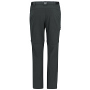 Spodnie męskie Regatta Anti-Insect Travel Light Z/O Trousers szary Ash