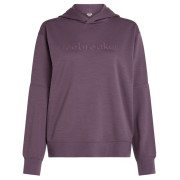 Bluza damska Icebreaker W Mer 360 RealFleece Elemental LS Hood fioletowy Grey Plum