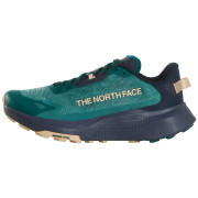 Buty do biegania dla mężczyzn The North Face M Altamesa 300 V2 niebieski PACIFIC TEAL/MIDNIGHT S