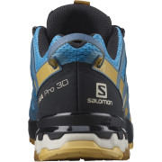 Buty do biegania dla mężczyzn Salomon Xa Pro 3D V8