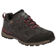 Buty męskie Regatta Samaris Suede Low szary/czerwony Peat/DelhiRd 