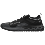 Buty do biegania dla mężczyzn Mizuno Wave Ibuki 4 GTX