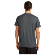 Koszulka męska Icebreaker Men Merino 150 Tech Lite SS Tee Range Stripes