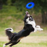 Zabawka dla psa Nerf Dog Translucent TPR Tire Flyer 25 cm