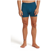 Męskie bokserki Icebreaker Men Merino 150 Anatomica Boxers