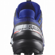 Buty męskie Salomon Speedcross 6 Gore-Tex Equipe