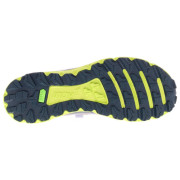 Buty do biegania dla mężczyzn Inov-8 Trailfly G 270 V2 M