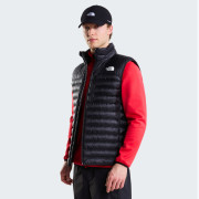 Kamizelka męska The North Face M Terra Peak Vest