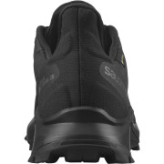 Buty damskie Salomon Alphacross 3 Gore-Tex