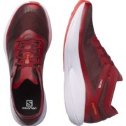 Buty do biegania dla mężczyzn Salomon Phantasm