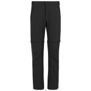 Spodnie męskie Regatta Mountain Z/O Trousers