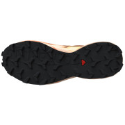 Buty damskie Salomon Speedcross 6 Gore-Tex