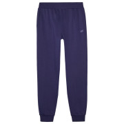 Męskie spodnie dresowe 4F Trousers M0943 ciemnoniebieski Navy