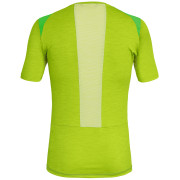 Koszulka męska Salewa Pedroc Hybrid 2 Dry M S/S Tee