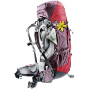 Plecak damski Deuter Aircontact 60 + 10 SL (2018)