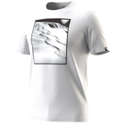 Koszulka męska Dynafit Graphic Co T-Shirt M biały 0521 - nimbus/FIRST TRACK
