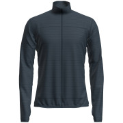 Bluza męska Icebreaker M M 300 Descenderender LS Zip niebieski/szary Abyss
