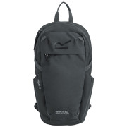 Plecak Regatta Prism 20L czarny Ash