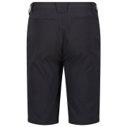 Męskie szorty Regatta Highton ShortLong M
