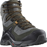 Męskie buty turystyczne Salomon Quest Element Gore-Tex szary/zielony Pewter / Beluga / Buckskin