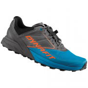 Buty do biegania dla mężczyzn Dynafit Alpine niebieski/szary Magnet/Frost